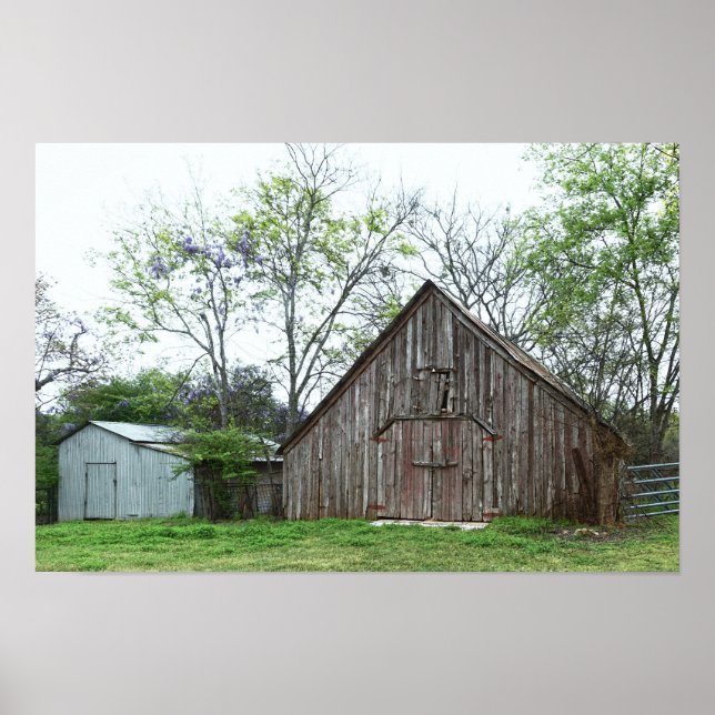 Póster Antiguo granero y cobertizo de Texas (Frente)