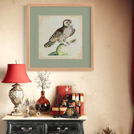 Póster Antiguo Lechuza Italiana que graba la naturaleza d