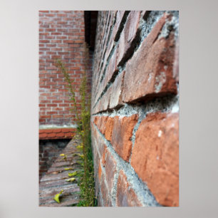 Póster antiguo muro de la ciudad