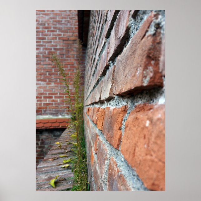 Póster antiguo muro de la ciudad (Frente)