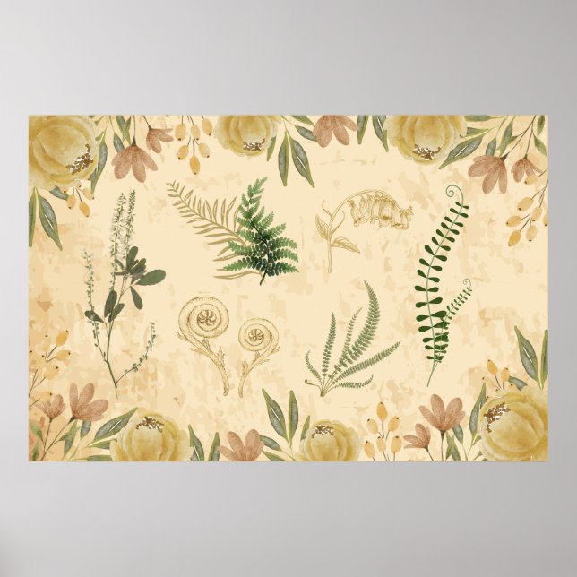 Póster Antiguo Poster Botánico y Floral (Frente)