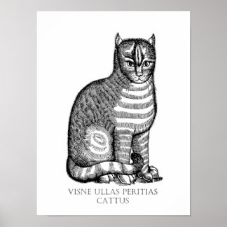 Póster Antiguo Poster de gato difuso