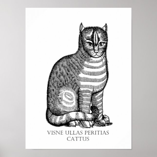 Póster Antiguo Poster de gato difuso (Frente)