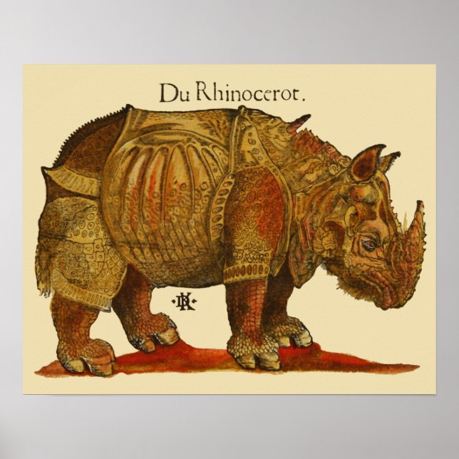 Póster Antigüo rinoceronte durer (Frente)