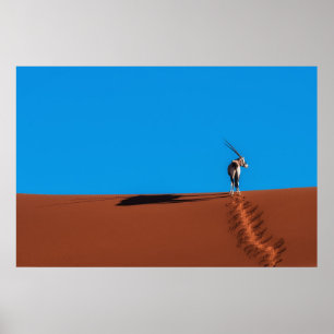 Póster Antílope del Oryx en el desierto de Namib