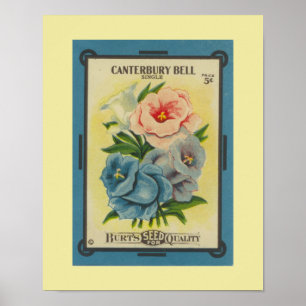 Póster Antique Canterbury Bells