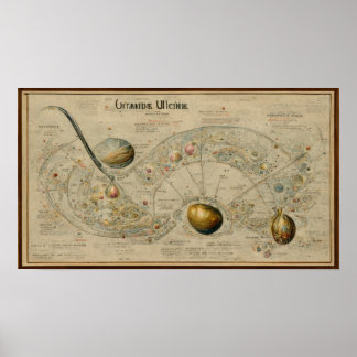 Póster Antique map of uranus