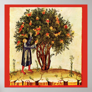 PÓSTER ANTIQUE POMEGRANATE TREE