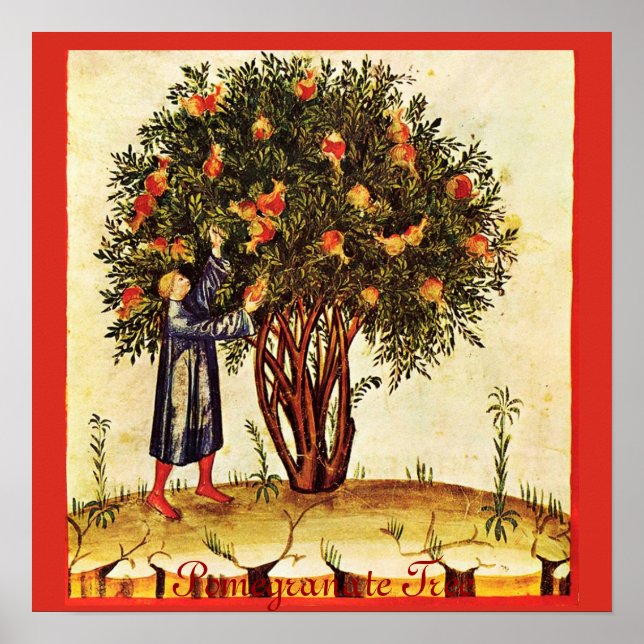 PÓSTER ANTIQUE POMEGRANATE TREE (Frente)