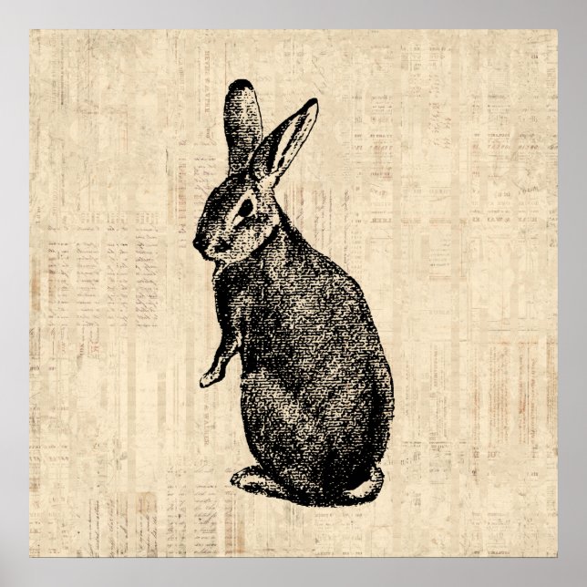 Póster Antique Rabbit Illustration Bunny Art with Script (Frente)