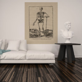 Póster Antique Skeleton Human Anatomy Poster