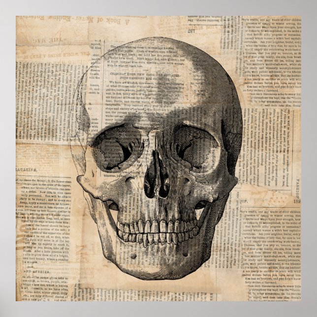 Póster Antique Skull Illustration Vintage Art News Print (Frente)