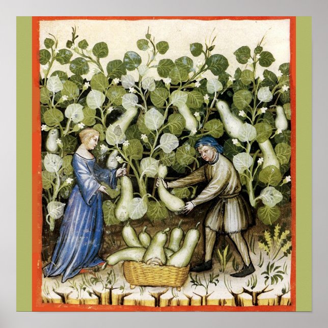 PÓSTER ANTIQUE SQUASH HARVEST (Frente)