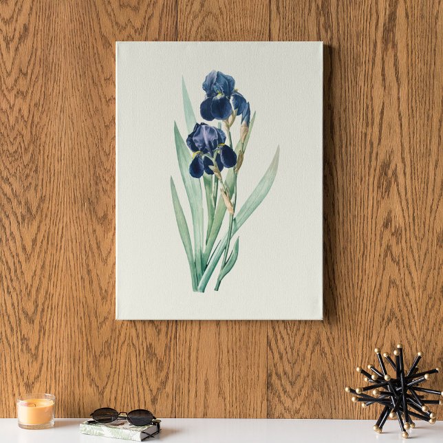 Póster Antique Watercolor Botanical Print  (Antique Watercolor Botanical Print)