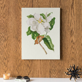 Póster Antique Watercolor Botanical Print 