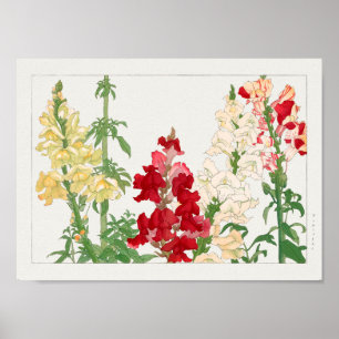 Póster Antirrhinum majus por Tanigami Konan