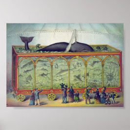 Póster Anuncio de Acuario Vintage