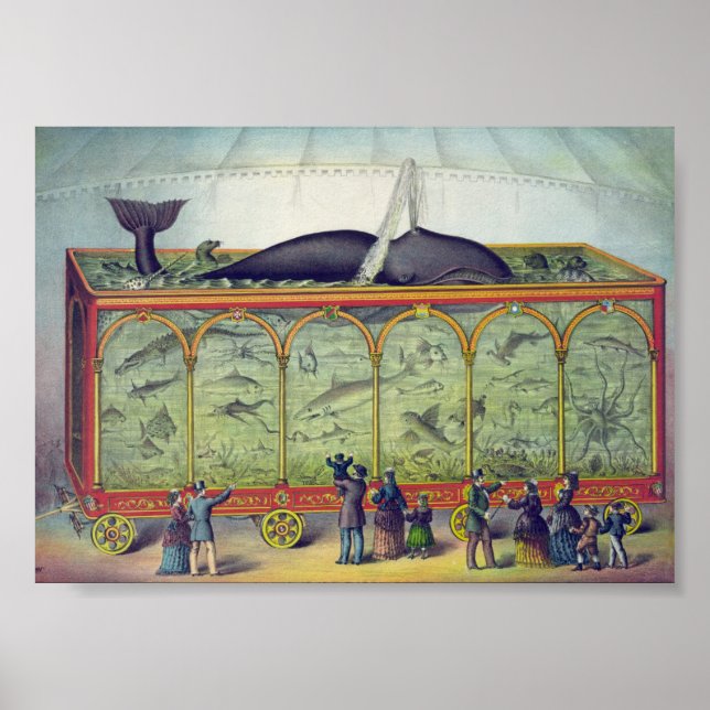 Póster Anuncio de Acuario Vintage (Frente)