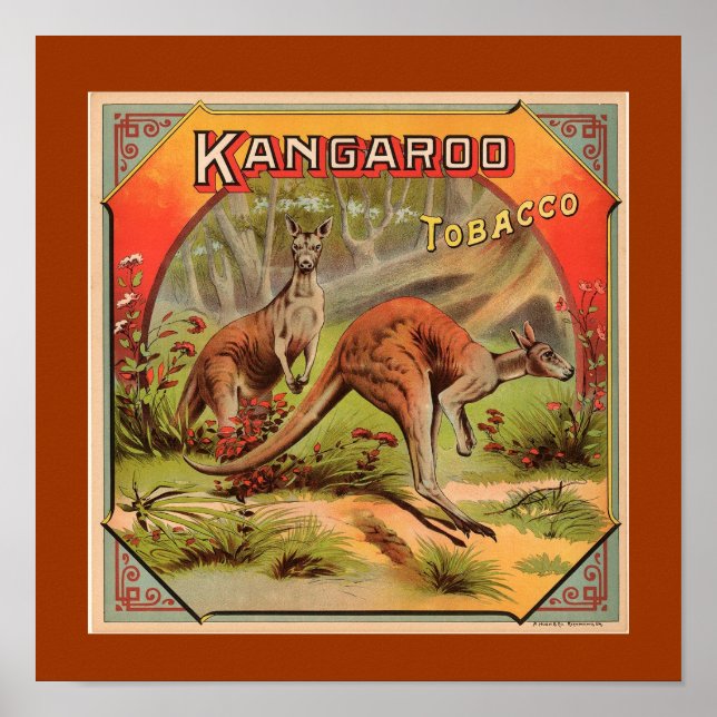 Póster Anuncio de canguro vintage (Frente)