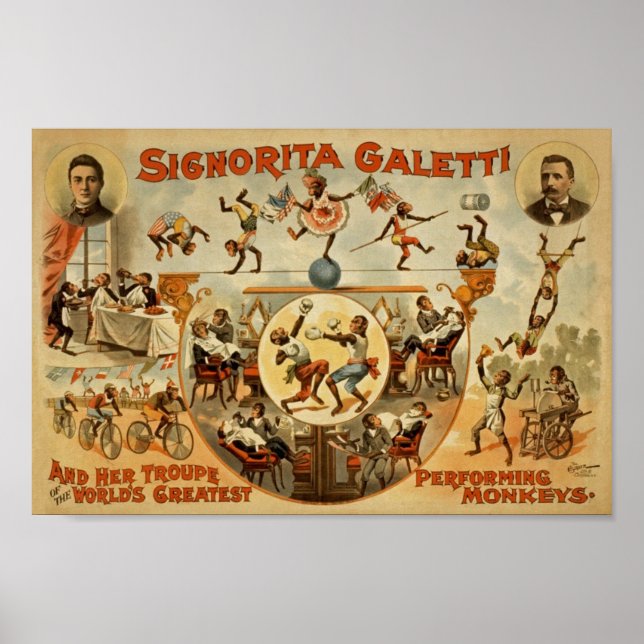 Póster Anuncio de circo vintage (Frente)
