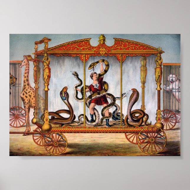 Póster Anuncio de circo vintage (Frente)