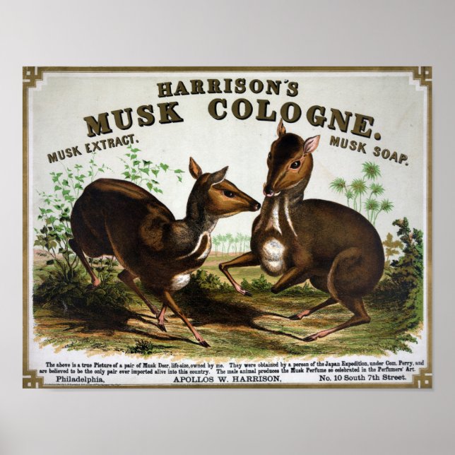 Póster Anuncio de Colonia Vintage (Frente)