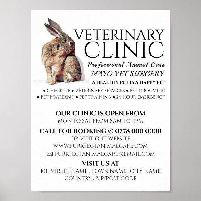 Póster Anuncio de conejo, veterinario, servicio veterinar (Frente)