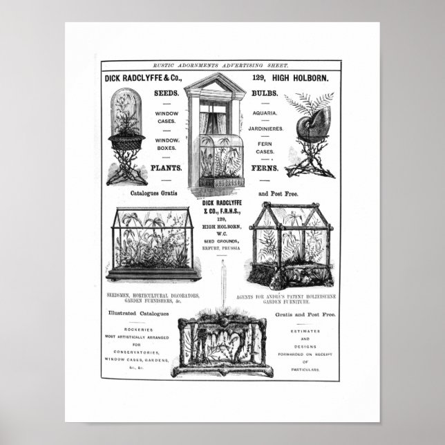 Póster Anuncio de 'Dick Radclyffe & Co.' Anuncio ruso (Frente)