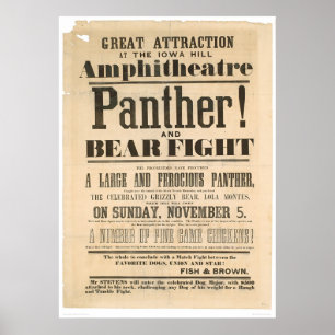 Póster Anuncio de lucha contra la pantera y el oso (1293A