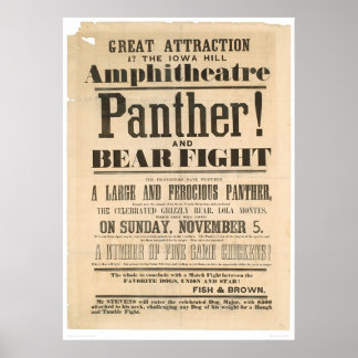 Póster Anuncio de lucha contra la pantera y el oso (1293A