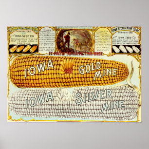 Póster Anuncio de maíz Iowa de 1896