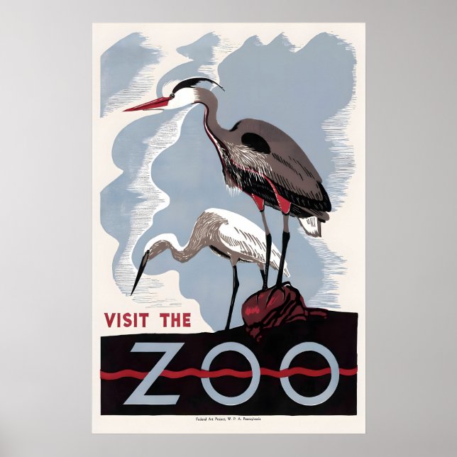 Póster Anuncio de pájaro del zoo Herron American Bittern (Frente)