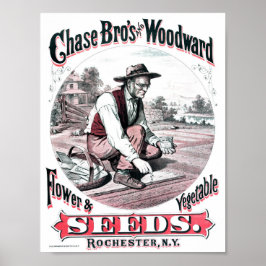 Póster Anuncio de semilla vintage