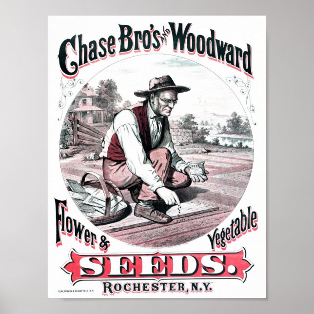 Póster Anuncio de semilla vintage (Frente)