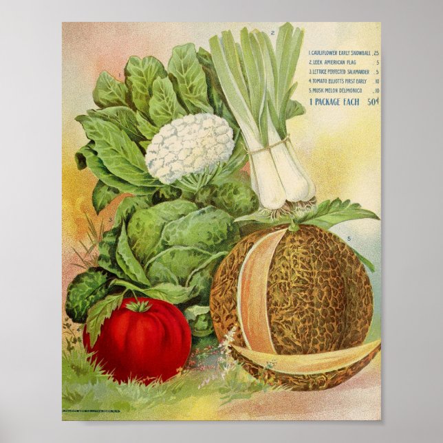 Póster Anuncio de semilla vintage (Frente)