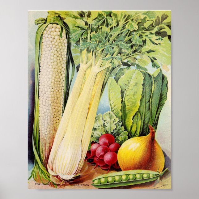 Póster Anuncio de semilla vintage (Frente)