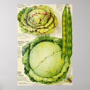 Póster Anuncio de verduras venenosas (1907)