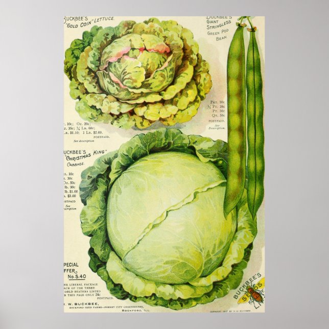 Póster Anuncio de verduras venenosas (1907) (Frente)