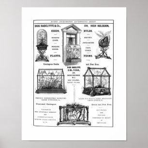 Póster Anuncio para "Dick Radclyffe y Co. " Anuncio