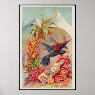 Póster Anuncio sobre el agua de las viejas aves tropicale
