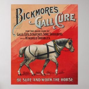 Póster Anuncio vintage para la cura para caballos de Bick