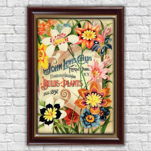 Póster Anuncios de plantas de bulbos de Floral Park Vinta