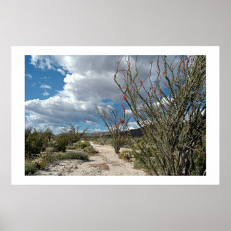 Póster Anza Borrego - the bloom