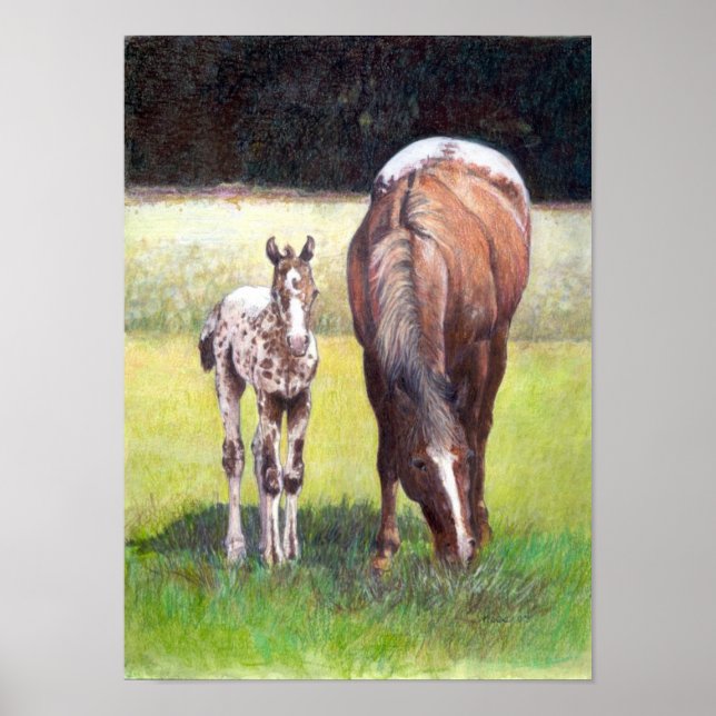 Póster Apaloosa Mare y retrato de los pies (Frente)