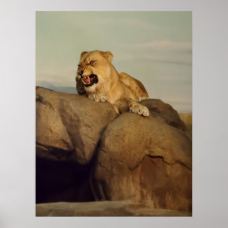 Póster Aparición de la leona