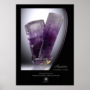 PÓSTER APATITA