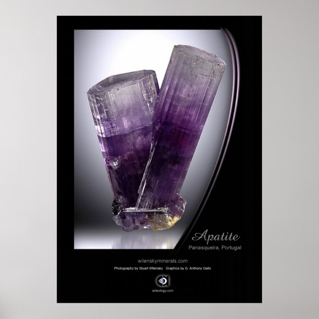 PÓSTER APATITO (Frente)