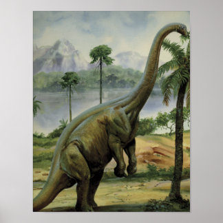 Póster Apatosaurus (Brontosaurus) Ilustracion Comedor