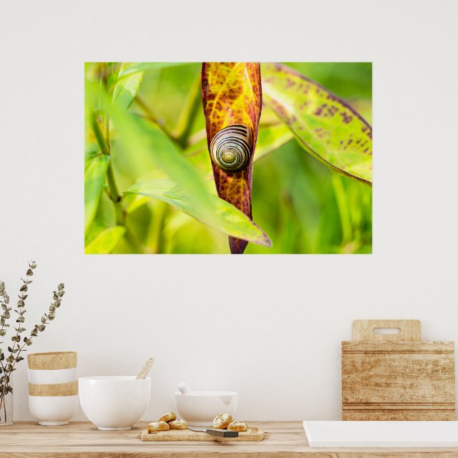 Póster apego tranquilo (Cocina)