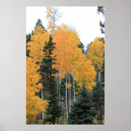 Póster Apenos en minas de Taos